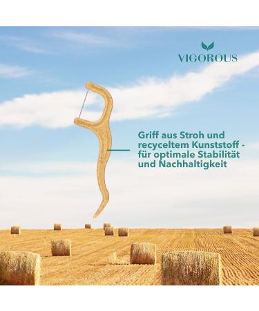 Vigorous 150 Pieces - Sustainable Vegan Dental Floss Sticks for Adults & Children | Uncharged Tooth Picks for Optimal Dental Hygiene - Buy Online on GoSupps.com