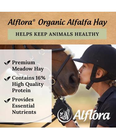 Alflora Organic 1KG Premium Alfalfa Meadow Hay with Beetroot - 100% Natural - High Protein & Fiber - Ideal for Rabbits, Gerbils, Hamsters, Guinea Pigs - Buy Online on GoSupps.com