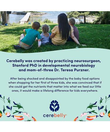 Cerebelly Organic Baby Food Pouches Beet Carrot Blueberry (4 oz, 6 pk) - Toddler Snacks with Brain-supporting Nutrients from Superfoods - Gluten-Free & BPA-Free Healthy Snacks - Buy Online on GoSupps.com