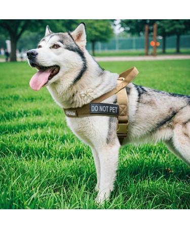 Elite Tactical Dog Dishes Vest - Adjustable Nylon for Small Medium & Large Dogs | Durable Gray XS - Buy Online on GoSupps.com