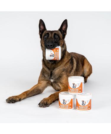 NutriPaw Pre Pro & Postbiotic Digestive Treats For Dogs - Gut Health Sensitive Tums Anal Glands Scooting Loose Stools Smelly Itchy Ears Enzymes Great for all dogs Single Pack - Buy Online on GoSupps.com