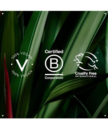 Aveda Botanical Kinetics Hydrating Treatment Lotion | Moisturizing Skin Essence | for All Skin Types | 99% Naturally Derived* 5 Fl Oz - Buy Online on GoSupps.com