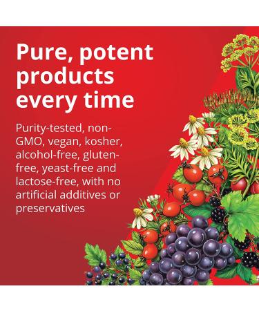 Floradix Floravital Iron & Herb Vegan Liquid Supplement 23 Fl Oz - Energy Support - Buy Online on GoSupps.com