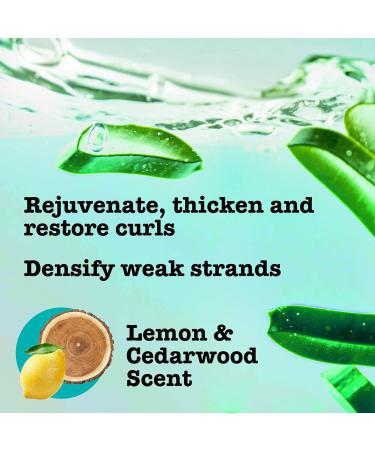 Maui Moisture Maui Revive & Hydrate Shea Butter Shampoo - Buy Online on GoSupps.com