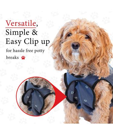 BellyGuard Dog Recovery Suit - Comfortable Cone Substitute for Dogs - Stretch-Fit Cotton Material - Adjustable Rear Flap - Medium Grey - Buy Online on GoSupps.com