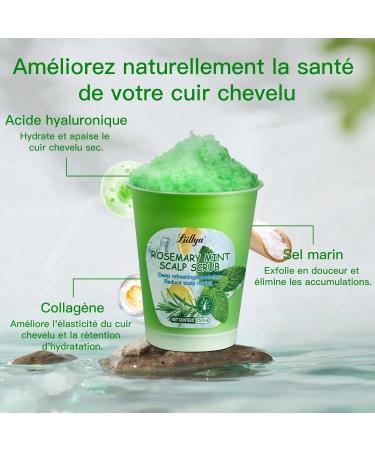 Gommage Cuir Chevelu au Romarin & Menthe Pousse Cheveux Shampoing Antipelliculaire 2-en-1 Exfoliant Shampoing Clarifiant Anti-d mangeaisons Cheveux Gras & Chute Scalp Scrub 250ml - Buy Online on GoSupps.com