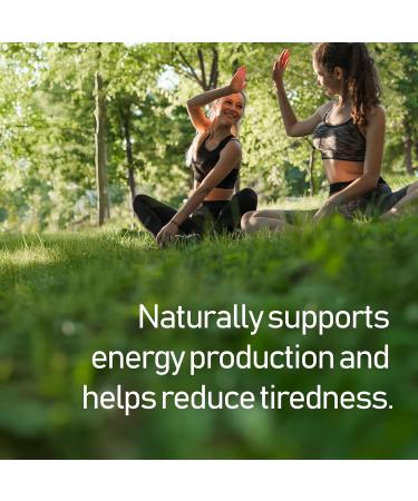 NANOWELL B Complex Premium(12BOXES) - Full Spectrum of B Vitamins for Energy Heart & Immune Support - B-Complex Supplement with Adaptogens - 60 Capsules 60-Day Supply X12 - Buy Online on GoSupps.com