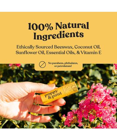 Poppy & Pout 100% Natural Lip Balm Gift Box | Handmade & Cruelty-Free | Beeswax, Vitamin E, Organic Coconut Oil | Sustainable Packaging | 5pk Best Sellers - Buy Online on GoSupps.com