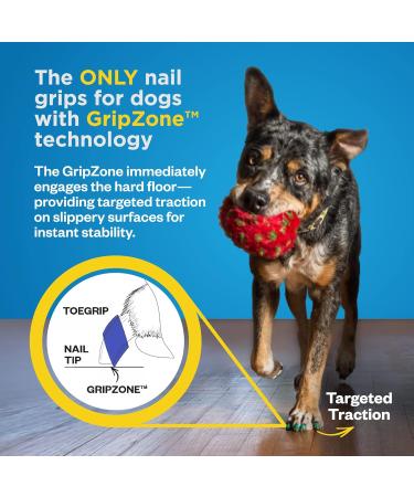Dr. Buzby's ToeGrips for Dogs - Medium - 20 grips - Buy Online on GoSupps.com