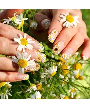 24 Grids 3D Sunflower Nail Stickers - Fall Sunflower & Glitter Designs for Nail Decorations - Buy Online on GoSupps.com