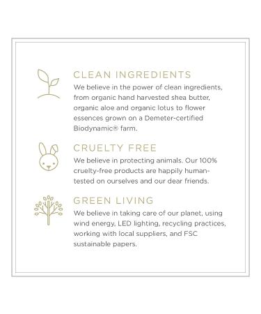 Zents Luminous Cashmere Body Oil - Soften and Moisturize Skin with Vitamin E and Organic Coconut Oil - 8 fl oz (Fresh) - Buy Online on GoSupps.com