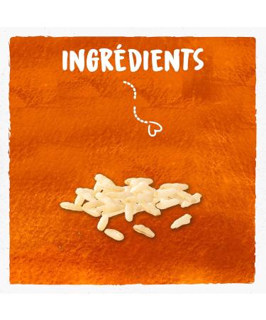 BJORG - Kitchen Rice - Organic Rice Based Culinary Preparation - 100% Vegetable - Low Salt - Smooth Texture - Perfect for Swe - Buy Online on GoSupps.com