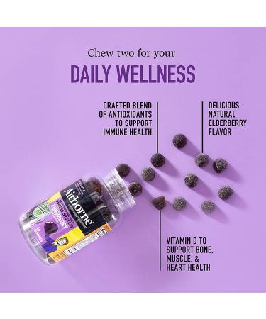 Airborne Elderberry + Zinc Immune Support Gummies - 50ct Elderberry Flavor - Buy Online on GoSupps.com