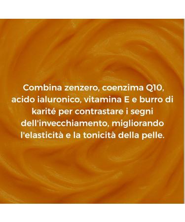  ALOHALABS Z-Skin Anti-Wrinkle Face Cream Anti-ageing with Hyaluronic Acid Ginger and Q10 Lifting Deep Hydration and Repolped Skin | 50 ml - Buy Online on GoSupps.com