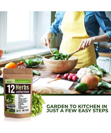 12 Culinary Herb Seeds Variety - USA Grown for Indoor and Outdoor Gardens | Heirloom and Non-GMO Seeds Including Basil, Parsley, Cilantro, Mint, Chives, Thyme, Oregano, Tarragon, Dill, Rosemary, Sage & More - Buy Online on GoSupps.com