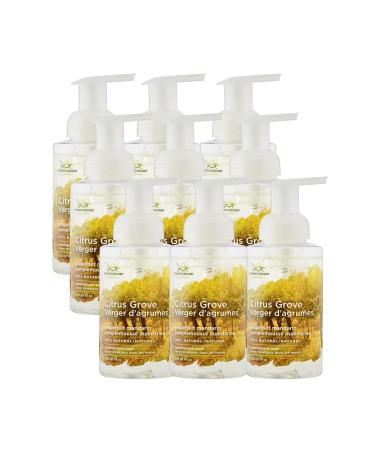 Green Cricket Foaming Hand Wash - 300ml 100% Natural & Vegan | Perfect for individuals with skin sensitivity | No SLS SLES PEG Parabens or Artificial fragrances or colours (Citrus) Citrus 300 ml (Pack of 9)