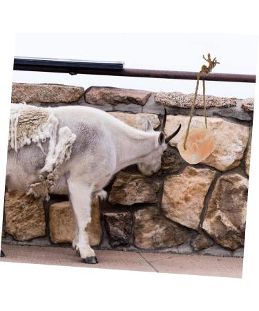 Angoily Lick Salt Block Nutraceuticals Salt Block for Deer Livestock Salt Block Pakistan Nutrition - Buy Online on GoSupps.com