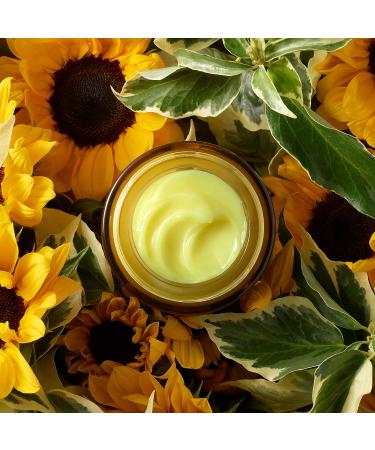 True Botanicals Ginger Turmeric Cleansing Balm | Non-Toxic Natural Skincare (3.4 oz | 100 ml) - Buy Online on GoSupps.com