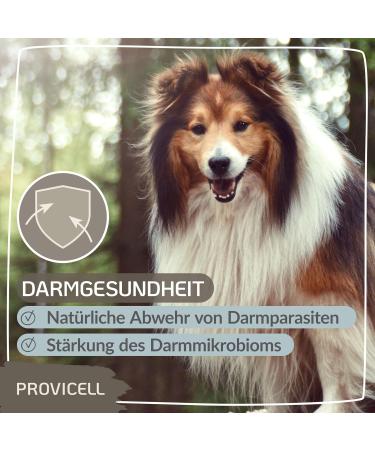Provicell Para-W-Vital | Natural Worm Cure & Deworming Agent for Dogs | Veterinarian Developed in Germany | 120 Tablets for Effective Support - Buy Online on GoSupps.com
