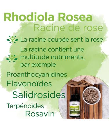 Swanson Rhodiola Rosea Root (Rose Root Extract) 400mg 100 Capsules High Dosed Lab Tested Soy Free Gluten Free Non-GMO - Buy Online on GoSupps.com