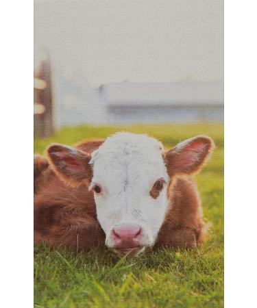 FarmHouse Fresh Citrine Beach Body Milk 8 Fl Oz - Hydrating Body Lotion - Buy Online on GoSupps.com