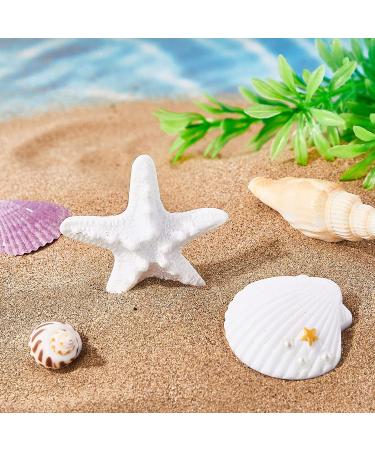 4-Piece Starfish & Shell Hair Clip Set for Women & Girls - Mermaid Crown Accessories - Buy Online on GoSupps.com