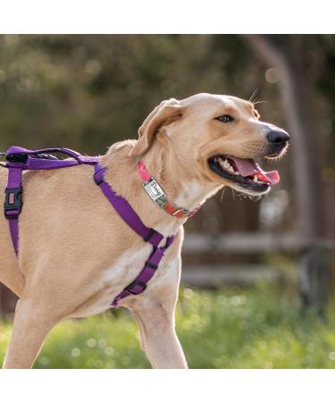 Personalized Gisurey Dog Tag - Engraved Durable & Noiseless Design for Your Furry Friend | International Shipping - Buy Online on GoSupps.com