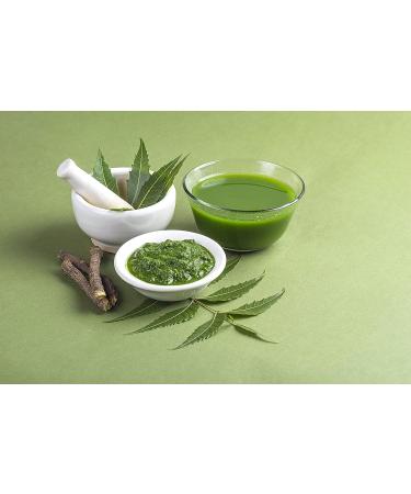 Organic Neem Powder 8 oz - Pure India Neem Powder for Hair, Skin & Teeth | Azadirachta Indica - Buy Online on GoSupps.com