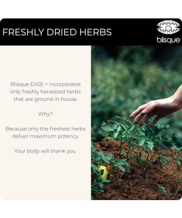 Blisque Natural Inflammation Health Supplement Complex for Healthy Inflammatory Response | Doctor-Approved | with Turmeric Curcumin Ginger Root and Boswellia | 90 Capsules | Vegan and Non-GMO - Buy Online on GoSupps.com