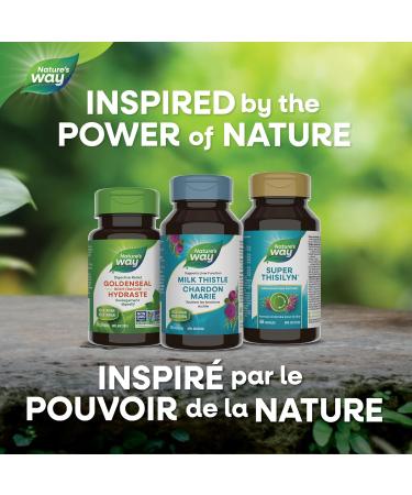 Nature's Way Milk Thistle / 120 Veg Caps - Buy Online on GoSupps.com