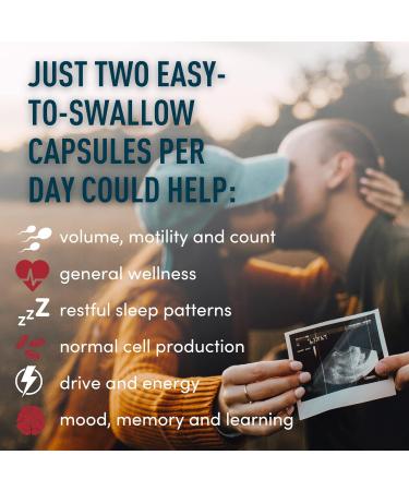 Fertility Supplements for Men - Conception & Male Fertility Vitamin with Zinc, Maca, Ashwagandha, L-Arginine - 4 Month Supply (240 Pills) - Buy Online on GoSupps.com
