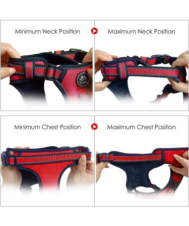 Nestroad Red Dog Harness for Medium-Sized Dogs - Anti-Pull Safety Belt Padded Comfort Size M (Neck 33-43cm Chest 43-64cm) - International Shipping Available - Buy Online on GoSupps.com
