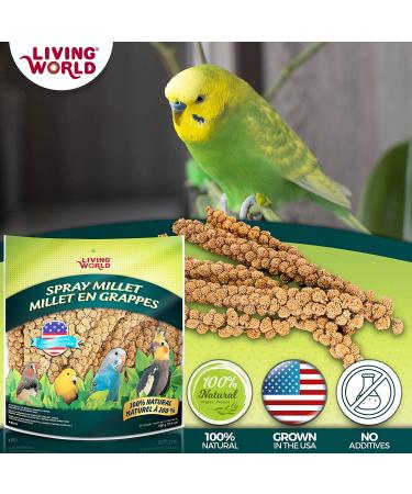 Living World Spray Millet 17.6 Oz - Nutritious Treat for Birds - Buy Online on GoSupps.com