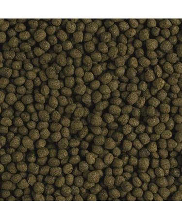 Flower Horn Adult Pellet 5L / 1 9kg - Nourriture rehaussant la Couleur pour flowerhorn et Autres cichlides - Buy Online on GoSupps.com
