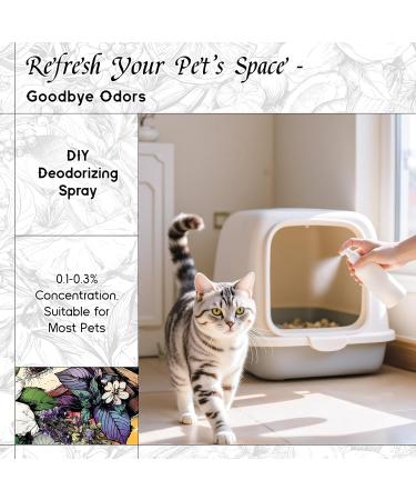 HIQILI 100ML Cinnamon Essential Oil & 150ML Velvet Nocturne Fragrance Oil for DIY Diffuser - Buy Online on GoSupps.com