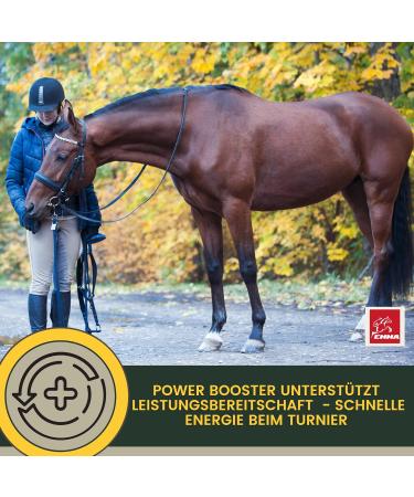 Vitamin E for Horses - Paste 30 ml Horse Vitamin E Vitamin B Complex Horse to Support Vitality Calcium Iron Zinc Horse Vitamins & Trace Elements Energy Performance for Horses Ponies - Buy Online on GoSupps.com