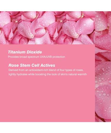 Coola Rosilliance SPF 30 BB+ Mineral Tinted Sunscreen 44ml Golden Hour | Sheer, Luminous Finish | 70%+ Organic | Dermatologist Tested - Buy Online on GoSupps.com