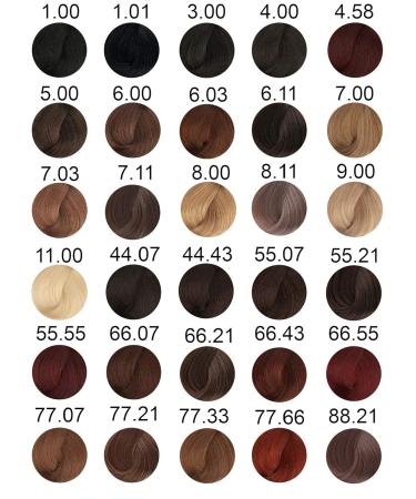 Buy BIOMAGIC HAIR COLOR 4/00 BROWN - 250g Pack | Top-Quality International Shipping - Buy Online on GoSupps.com