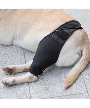 Dog Knee Brace Oxford Cloth Breathable Elastic Dog Leg Brace for Pain Relief (S) - Buy Online on GoSupps.com