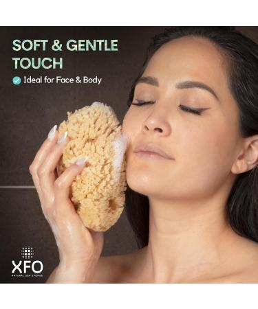 Buy XFO Sea Sponge - Natural Yellow 5.5in Loofah Alternative for Bathing & Exfoliating | All Natural USA Grown Sponges - Buy Online on GoSupps.com