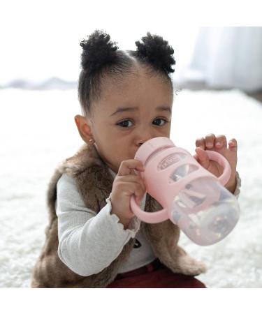 Dr. Brown's Milestones Wide-Neck Sippy Bottle 9oz 2 Pack - Light Pink & Ecru - Buy Online on GoSupps.com
