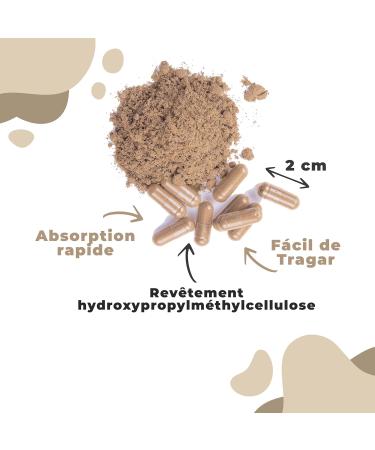 Ashwagandha Biologique 120 Capsules Haute Puissance. V g talien 100% Naturel et Pur. Sans Additifs | Bien- tre Mental et Physique Anti-Stress. Suppl ment Adaptog ne d Inde. (240 Und) - Buy Online on GoSupps.com