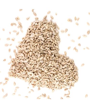 6kg Sunflower Seeds for Wild Birds - Premium Peeled Scatter Feed in Bucket | 6 KG Pack - Buy Online on GoSupps.com