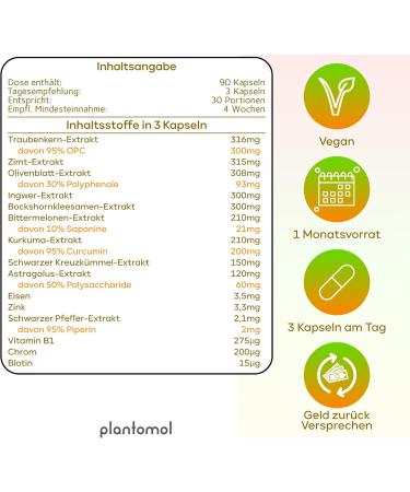 15-Way Blood Sugar Formula - 90 Vegan Capsules with Turmeric Cinnamon Ginger & More - Plantomol - Sugar Guard Supplement for Optimal Health - Buy Online on GoSupps.com