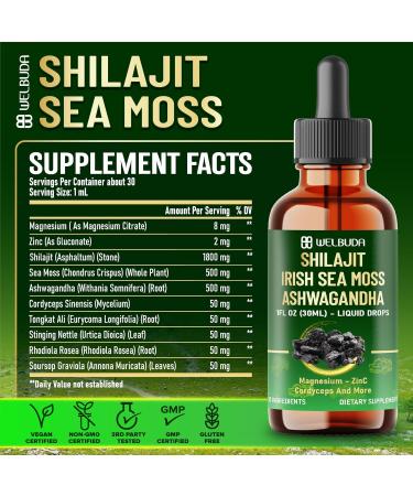 WELBUDA 10in1 Shilajit Liquid Drops with Magnesium Zinc Shilajit Irish Sea Moss Ashwagandha Cordyceps Mushroom Tongkat Ali Stinging Nettle Root Rhodiola Rosea - 1 FL Oz - 60 Day Supply - Buy Online on GoSupps.com