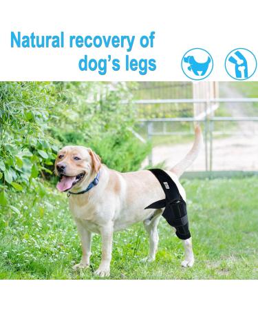 Dog Knee Brace for Back Leg Dog Elbow Brace Protector Pads for Support with Cruciate Ligament Injury Dysplasia Osteoarthritis Dog Leg Braces Adjustable Dog Rear Leg Braces (M) - Buy Online on GoSupps.com