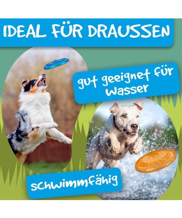 Rootnoot Frisbee for Dogs | Soft Stable Floatable & Tooth-Gentle | Eco-Friendly Super Spar Set (2x Frisbee 2x Ball) - Buy Online on GoSupps.com