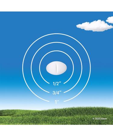 Claritin Allergy Medicine 24-Hour Non-Drowsy Relief 10 mg 20 Tablets - Buy Online on GoSupps.com