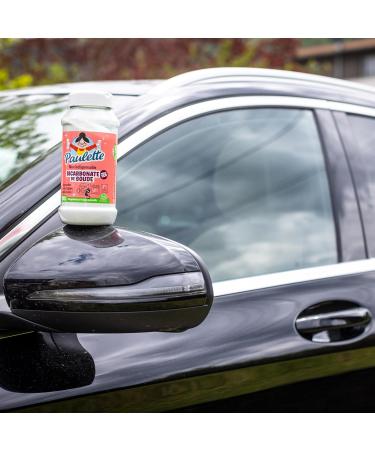 Paulette Natron Natural Color Reviver & Odor Neutralizer | EcoCert Certified | 950g - Gently Cleanses & Revives Colors International Shipping Available - Buy Online on GoSupps.com