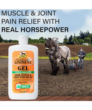 Absorbine Veterinary Liniment Gel 12 oz - Topical Menthol Analgesic for Pain Relief - Buy Online on GoSupps.com